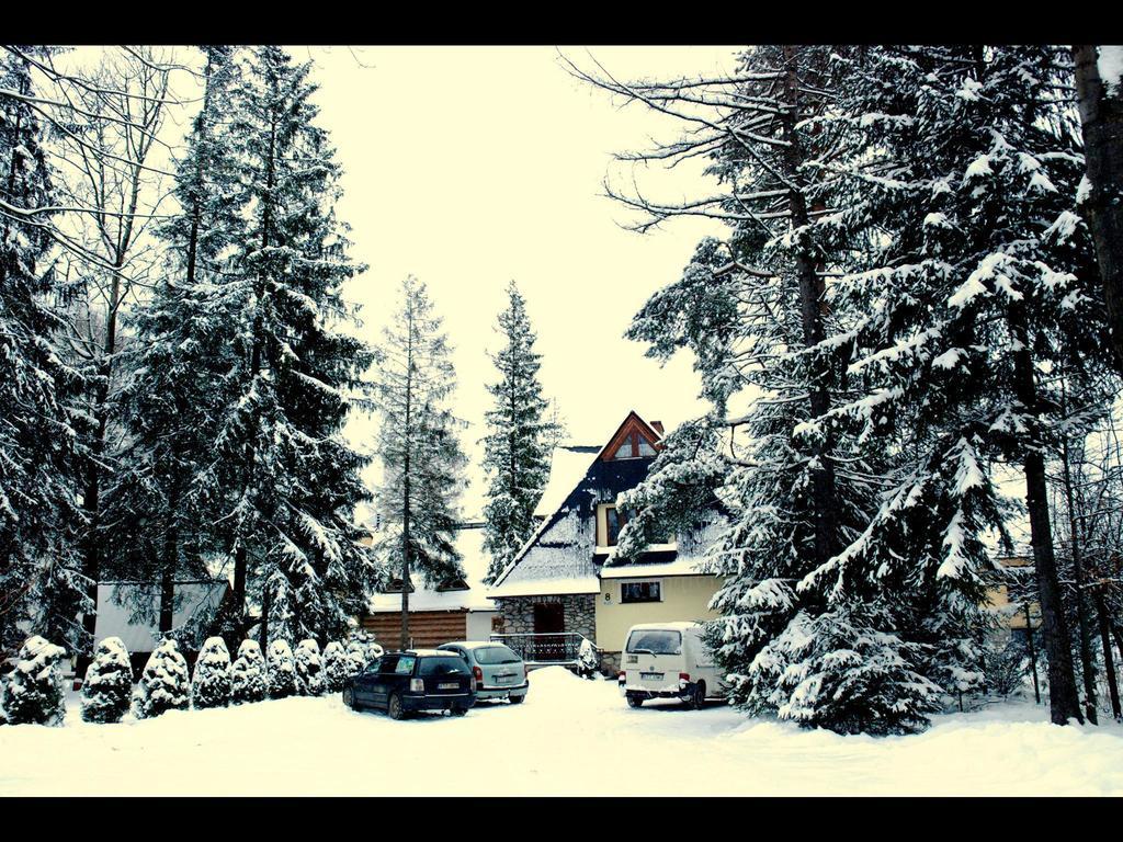 Goscinne Majerczyk Zakopane